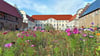 Am 22. August wird im Sonnenschloss Walbeck das Sommerfest gefeiert.