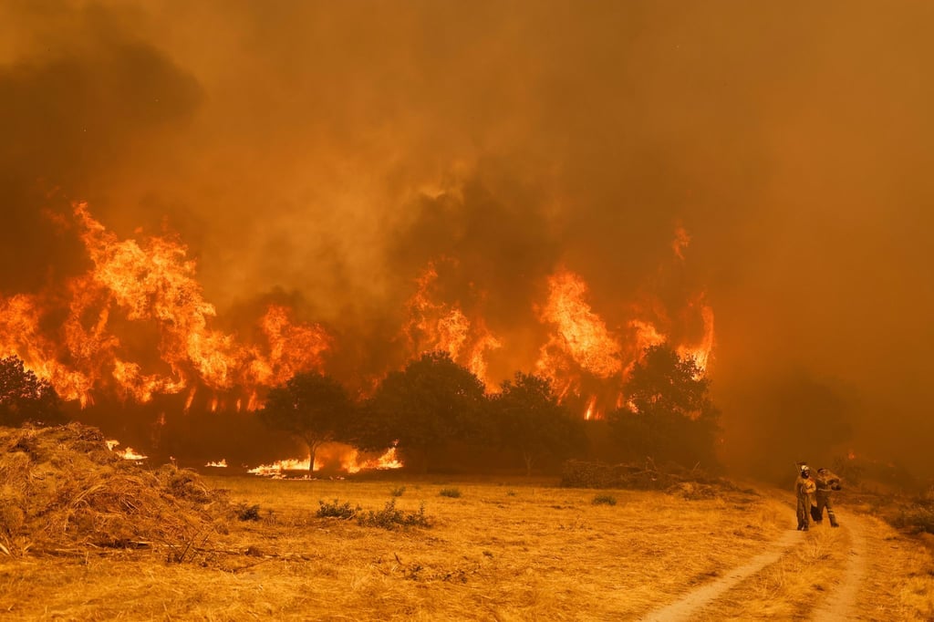 Die Brandbekämpfer sehen sich teilweise mit riesigen Feuerwänden konfrontiert, die durch stürmische Winde jederzeit blitzartig die Richtung ändern können.
