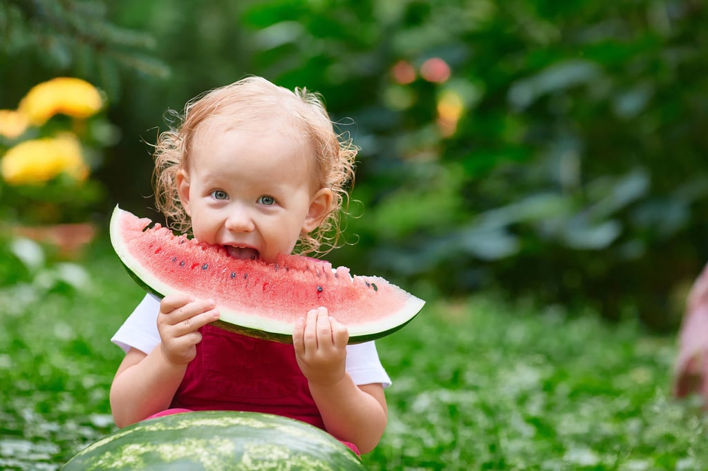 Selbst ernten und genießen: Auf einem Hektar wachsen in Zöberitz acht verschiedene Melonensorten, die direkt am Feld gepflückt werden können.
