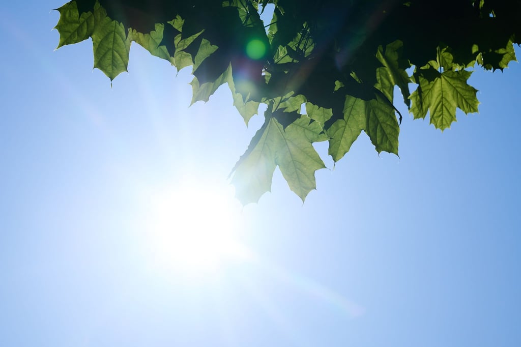 Hohe Ozonkonzentrationen treten üblicherweise bei hohen Temperaturen auf. (Symbolbild)