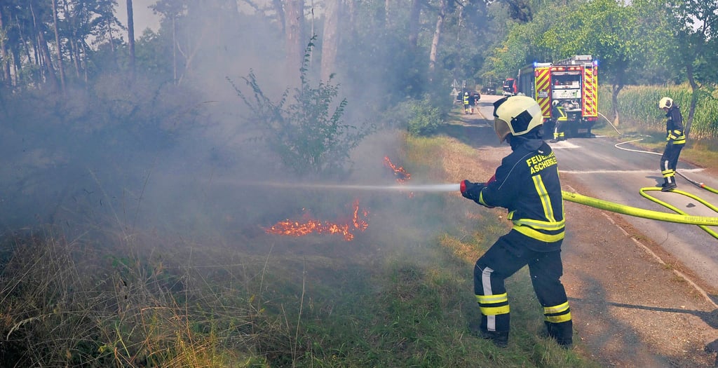 Ein Waldstück hat am Ascherslebener Birkenweg am Freitagmittag gebrannt.