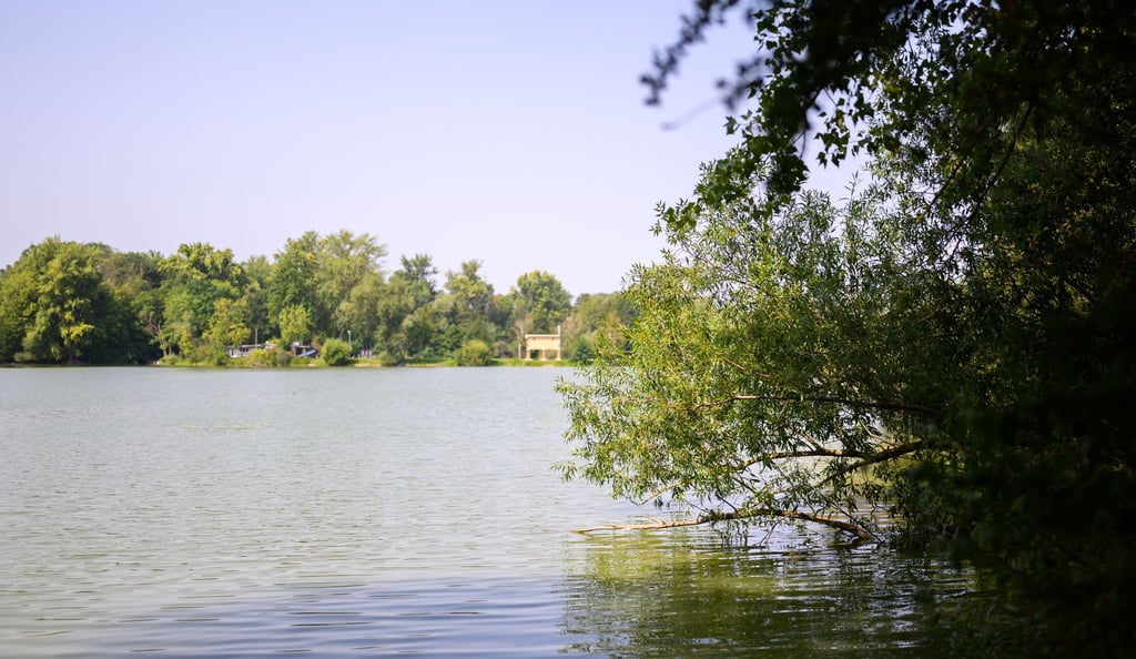 Blick auf den Großen Teich der Ricklinger Kiesteiche. Die Region Hannover hat für das Gewässer wegen erhöhter Konzentration von Blaualgen ein Badeverbot ausgesprochen.