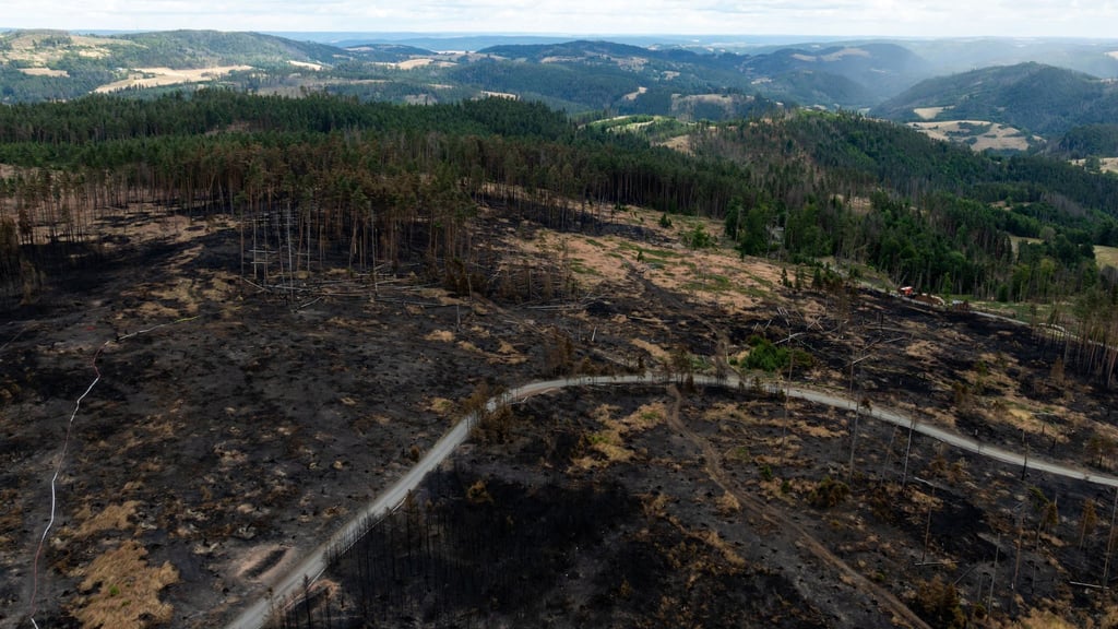Das Feuer auf der Saalfelder Höhe war der größte bekannte Waldbrand in Thüringen seit Jahrzehnten. (Archivbild)