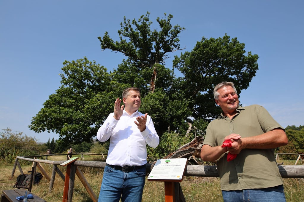 Sachsen-Anhalts Forstminister Sven Schulze (SPD, l), und Nationalpark Harz Chef Roland Pietsch bei der Auszeichnung der Eiche