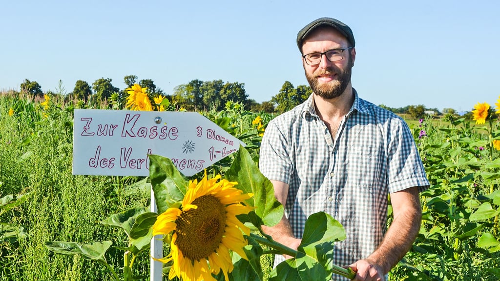 Landwirt Matthias Conert bietet in Ebendorf direkt zwischen dem Erdbeerfeld und der Tankstelle Sonnenblumen zum Selberpflücken an.
