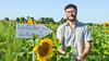 Landwirt Matthias Conert bietet in Ebendorf direkt zwischen dem Erdbeerfeld und der Tankstelle Sonnenblumen zum Selberpflücken an.