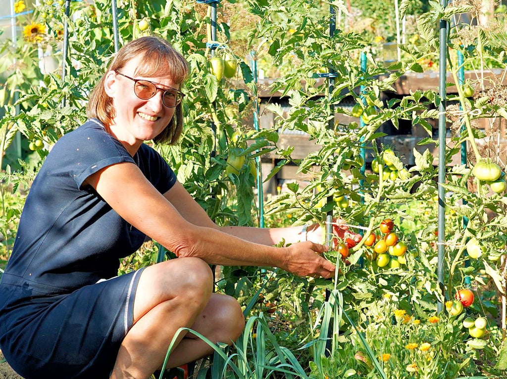 Vernarrt in den Anbau verschiedenster Tomatensorten: Peggy Volkmann in einer ihrer drei Freyburger Kleingarten-Parzellen.