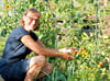 Vernarrt in den Anbau verschiedenster Tomatensorten: Peggy Volkmann in einer ihrer drei Freyburger Kleingarten-Parzellen. 