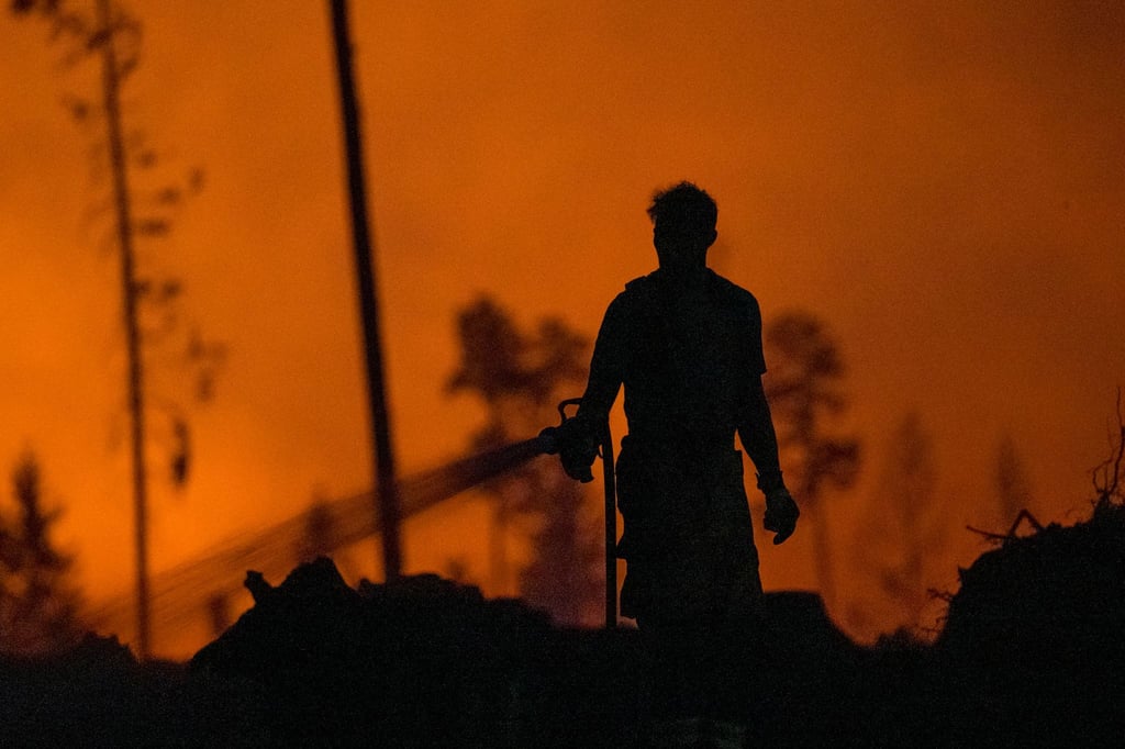 Zur Ursache des großen Waldbrandes auf der Saalfelder Höhe in Südthüringen ermittelt eine Arbeitsgruppe der Polizei. (Archivbild)