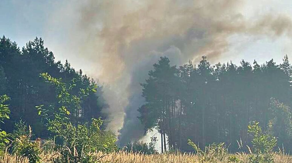 Gestapelte Baumstämme standen in Vollbrand. Das Feuer griff bereits auf den Wald über.