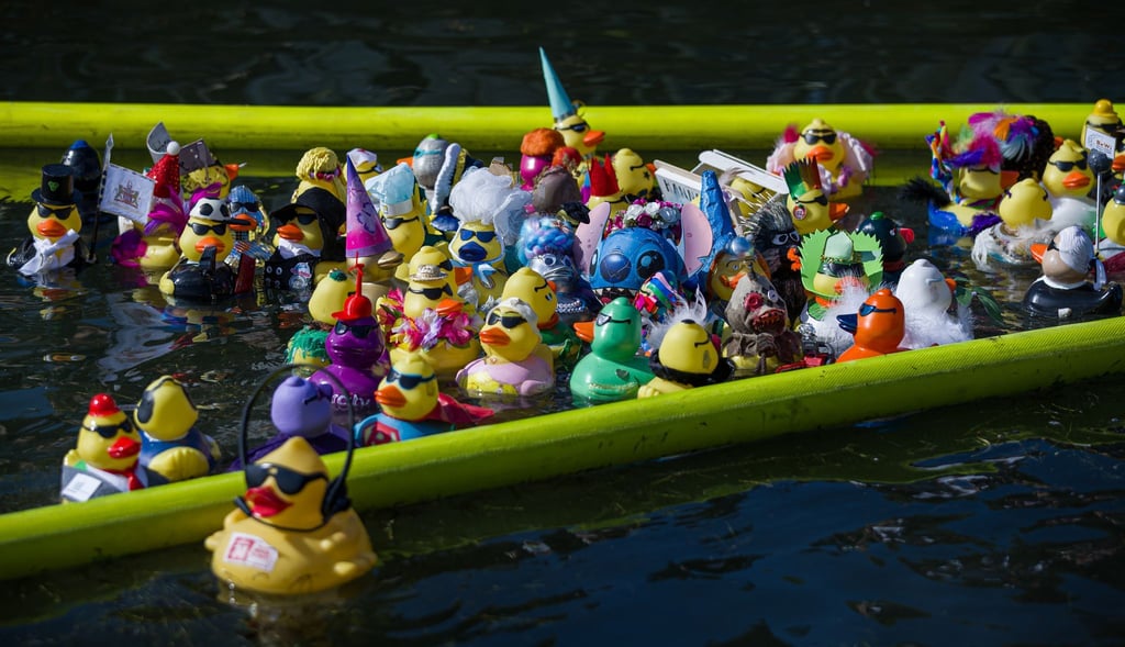 Bunte Gummienten liefern sich auf dem Maschsee in Hannover ein Rennen.