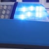 Nach einem Unfall im Landkreis Börde ist eine Seniorin gestorben.&nbsp;