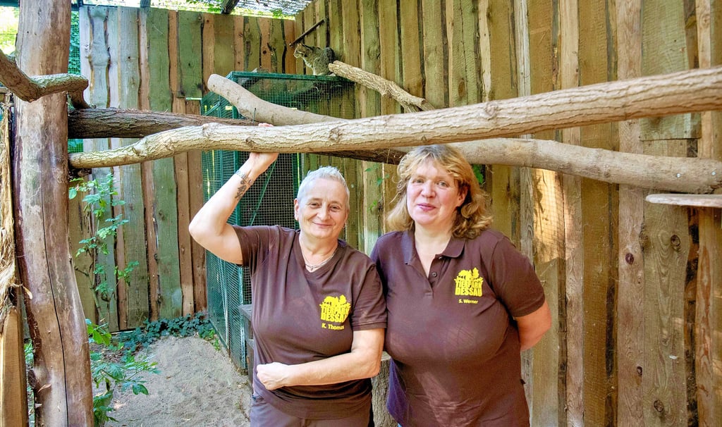 Amurkatze Charly (im Hintergrund) wurde von den Tierpflegerinnen Konstanze Thomas  (li.) und Sabine Werner aufgezogen. Nur sie dürfen in sein Gehege. 