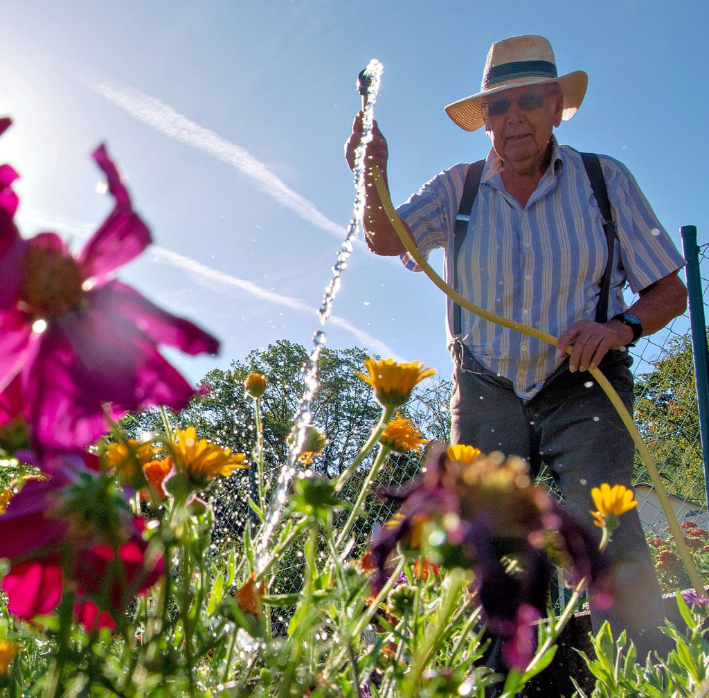 Allgemeinverfügung hat weiter Bestand: Das Gießen im Garten mit dem Gartenschlauch ist nach wie vor zwischen 10 und 19 Uhr im Jerichower Land verboten.
