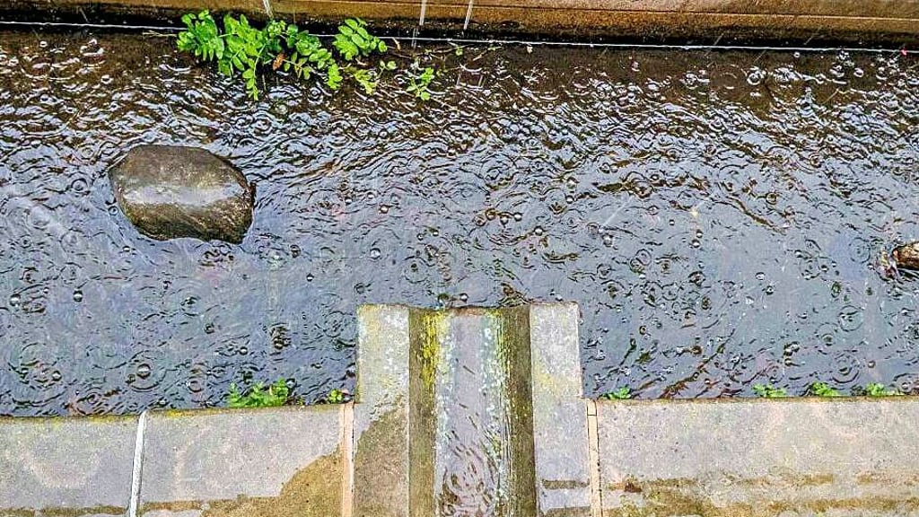 Juli 2025: kein Mangel an Niederschlag