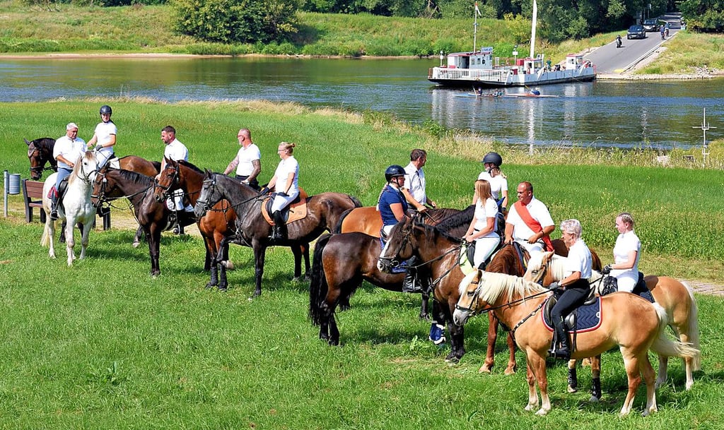 David Wernecke aus Drosa gewann das Ringreiten auf der Elbwiese vor Lotte Tröschel und Doreen Schmechel. 43 Reiterinnen und Reiter waren angetreten.