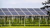 Eine der wenigen bisher existierenden Freiflächensolaranlagen befindet sich auf der einstigen Zerbster Deponie. Nun sollen auf landwirtschaftlichen Flächen weitere entstehen.