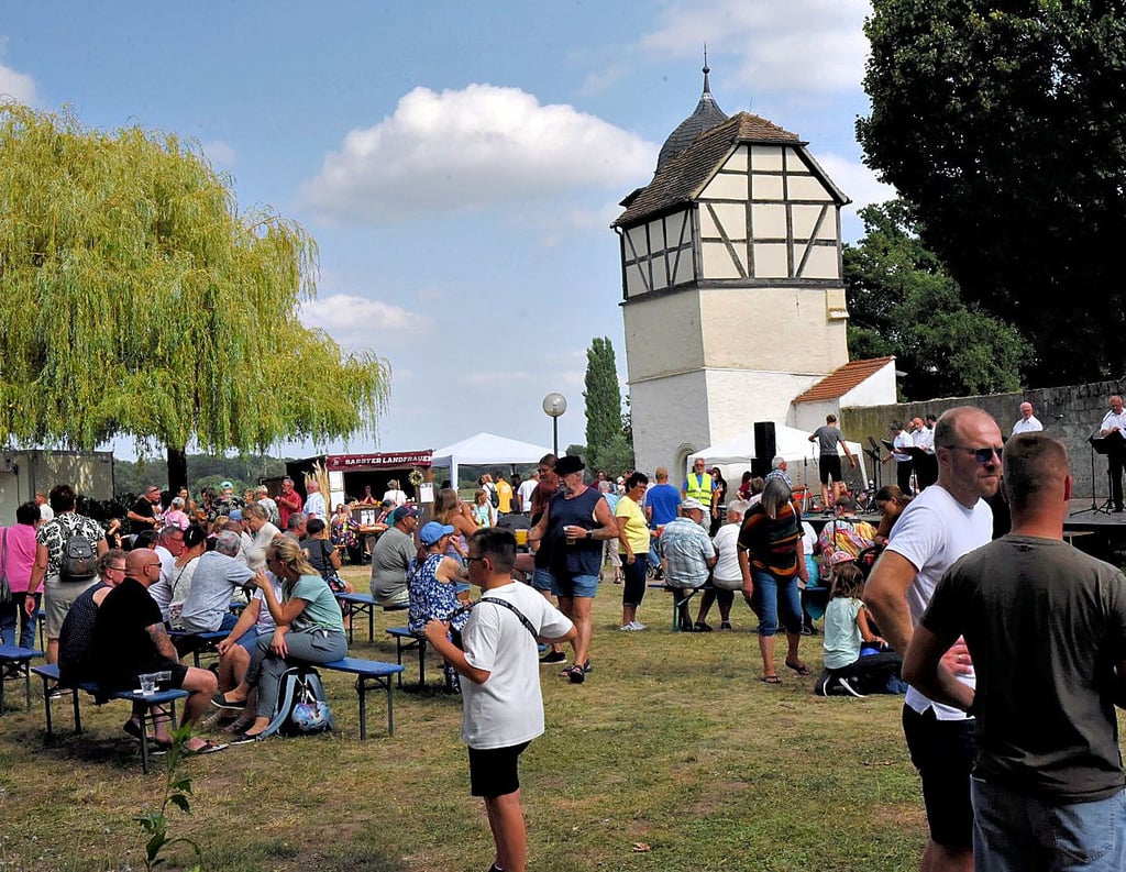 Gut besucht: Das Brückenfest fand zum ersten Mal im Schlosspark statt.