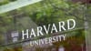 Der jährliche Harvard/MIT Germany Trek macht erstmals Station in Thüringen: Rund 40 Studierende und Alumni der US-amerikanischen Eliteuniversitäten zu Besuch.
