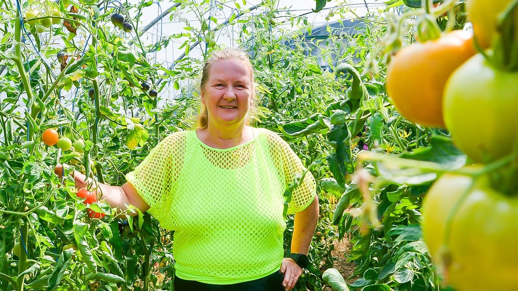 In allen Formen und Farben wachsen die Tomaten bei Heike Reps in der Börde. Aus mehr als 1.000 Sorten wählt sie jedes Jahr zwischen 400 und 500 für den Anbau im eigenen Garten aus.