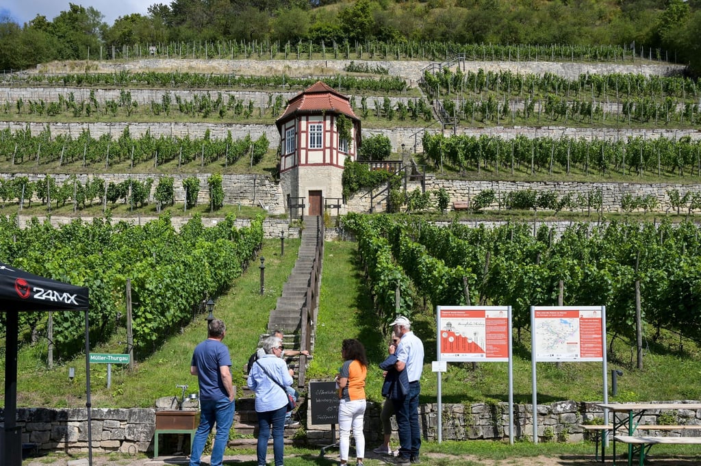 Die Region an Saale und Unstrut lädt unter anderem mit den Weinbergen ein. (Archivbild)