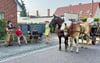 Zur Betteltour in Kleutsch hatte Thomas Schalow die Pferde angespannt. Familie Wischgoll (l.) begleitete mit Dudelsackmusik. 