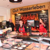 Seit Anfang Juli werden in der Filiale der Landfleischerei Gut Wasserleben am Ilsenburger Marktplatz wieder frisches Fleisch und frische Wurst verkauft.