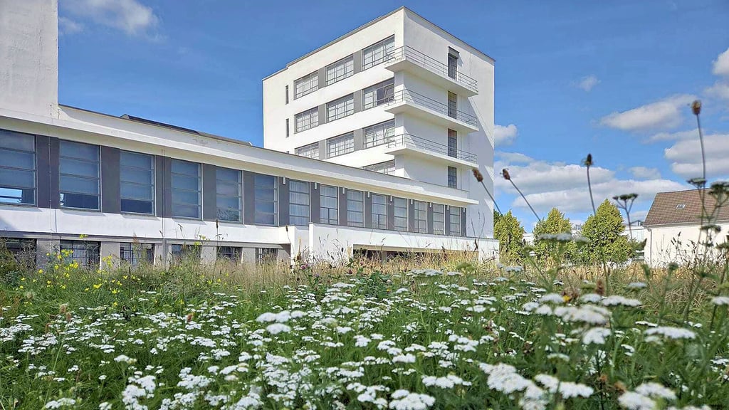 Blick auf das Dessauer Bauhausgebäude.