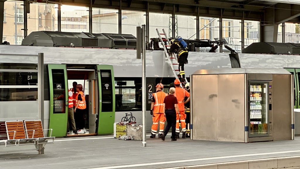 Über eine Leiter kletterte ein Feuerwehrmann auf das Dach der S-Bahn.