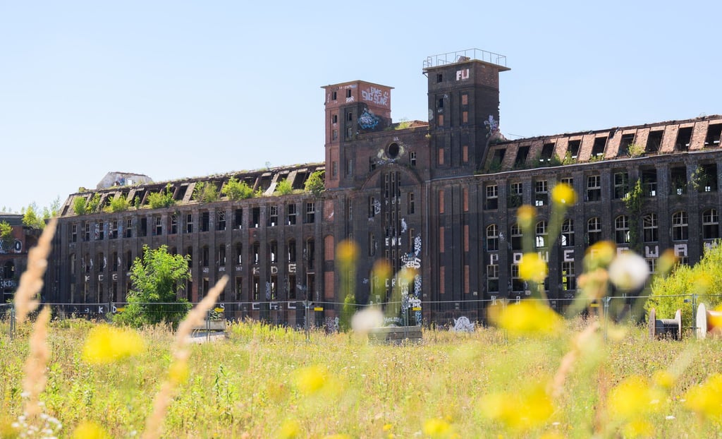 Die Deutsche Stiftung Denkmalschutz beklagt den achtlosen Abriss historisch bedeutsamer Gebäude. In ihrem „Schwarzbuch“ wird auch das Conti-Altgebäude im Stadtteil Limmer in Hannover aufgeführt.