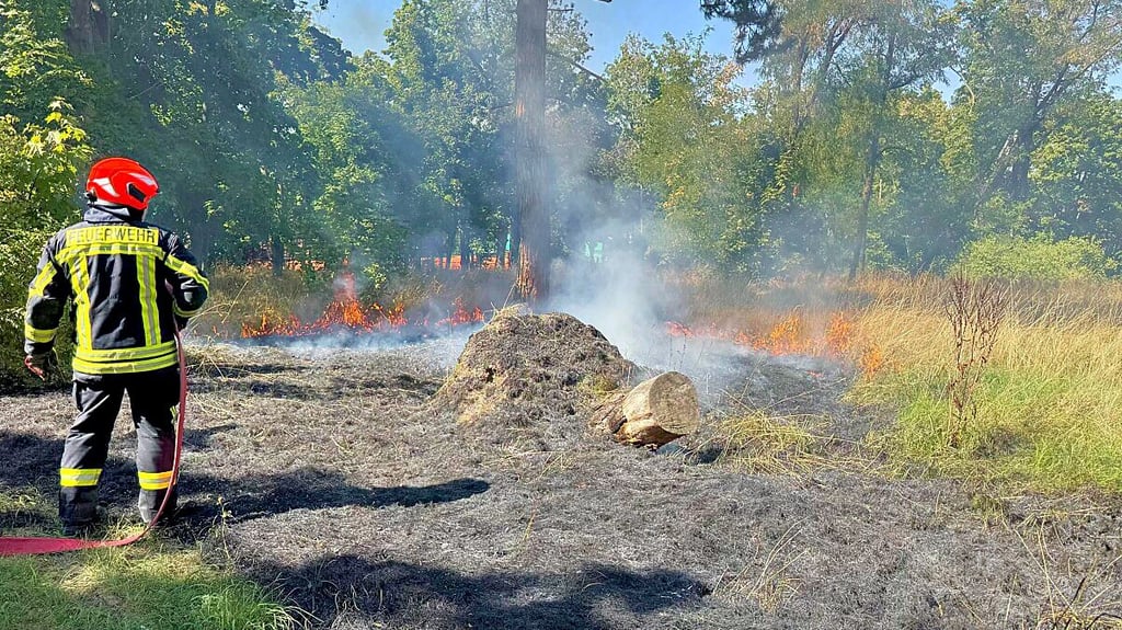 Die Zeitzer Feuerwehr rückte am Dienstagnachmittag in den Lenssenpark aus.