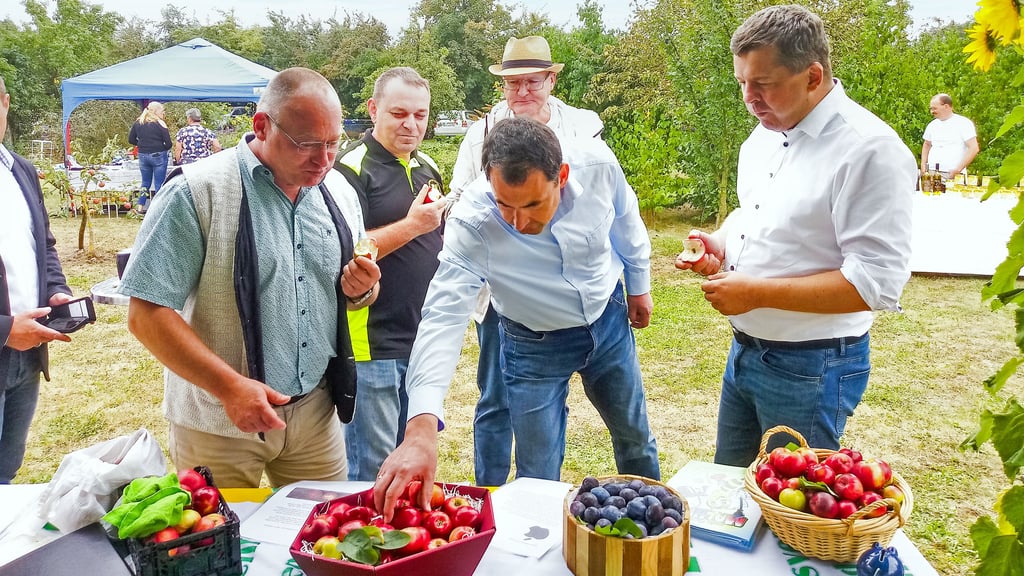 Beim Besuch von Landwirtschaftsminister Sven Schulze (rechts) wurden Produkte der Kleingärtner verkostet. So labten sich der Präsident des Landesverbands der Gartenfreunde, Olaf Weber (von links), der Spartenvorsitzende Thomas Osterloh, Uwe Baier, als Vertreter des Landratsamtes, der Ortsbürgermeister Tino Bauer und der Minister an Äpfeln der Marke Gravensteiner.