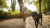 Ist die Wunschrasse erlaubt? Wann besteht Anleinpflicht? Hundebesitzer sollten sich mit den individuellen Regeln in ihrem Bundesland auseinandersetzen.