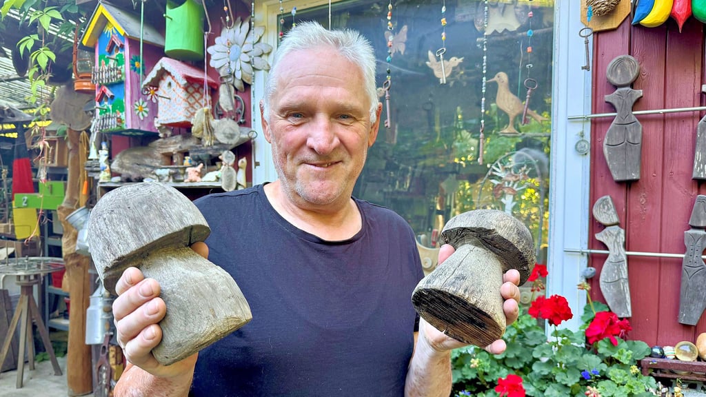 Aufgrund der Trockenheit stehen derzeit kaum Pilze im Wald. Deshalb präsentiert Waldpädagoge Detlef Schulze zwei „Eigengewächse“.