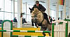 Salzwedels vorletztes Weihnachtsturnier im Dezember 2010: Hauke Timmreck vom PSV Hohenberg-Krusemark beim Springreiten.