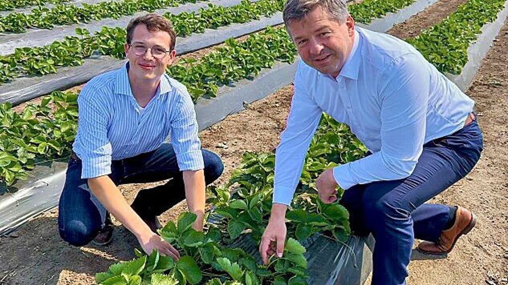 Der Langeneichstädter Landwirt Jacob Hindorf (l.) zeigt Landwirtschaftsminister Sven Schulze (r.) das neue Erdbeerfeld.