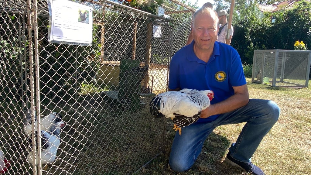 Mario Peters ist der Vorsitzende des 1. Geflügelzuchtvereins Olvenstedt aus Magdeburg. Ende August feiert der Verein sein 106-jähriges Bestehen.