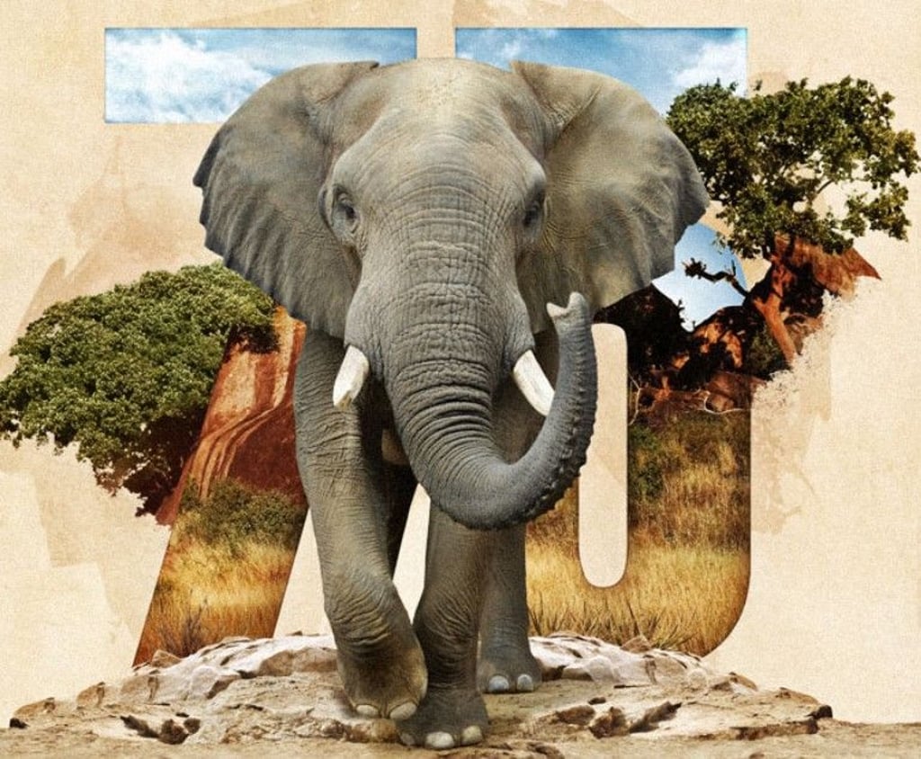 Zur Jubiläums-Zoonacht lädt der Zoo Magdeburg Familien am Sonnabend ein.