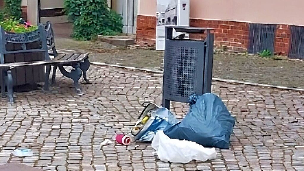 Vor allem montags und freitags liegen neben den öffentlichen Papierkörben auf der Stadtinsel in Havelberg Müllsäcke. Das kostet viel Geld, das die Hansestadt an anderer Stelle besser ausgeben könnte.