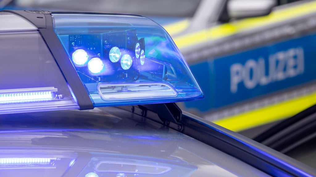Der Vorfall endete für den Zschornewitzer mit der Einweisung in einer psychiatrischen Klinik.