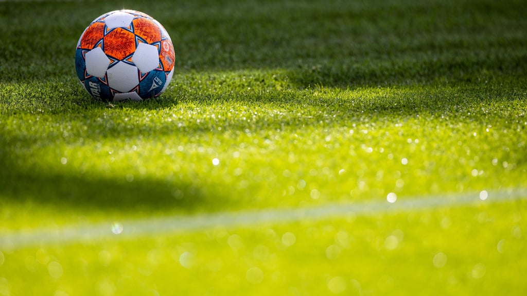 Der SV Eintracht 1911 Osterwieck hat mehr als nur Fußball zu bieten. Im Rahmen des Vereinssports betreibt die Eintracht auch weitere Aktivitäten wie etwa Darts, Handball, Volleyball, Schach, Tischtennis sowie Reha- und Rentnersport.