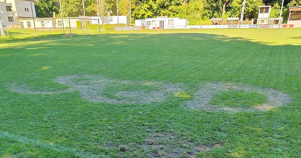 Zwei dieser SGD-Schriftzüge finden sich im Rasen der Raßnitzer.