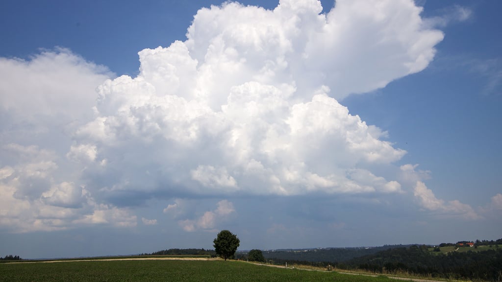In Sachsen-Anhalt zeigt sich der Sommer im August in dieser Woche wechselhaft.