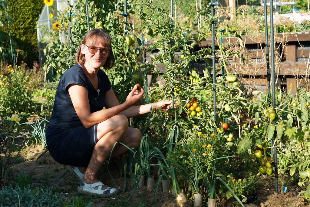 Vernarrt in den Anbau verschiedenster Tomatensorten: Peggy Volkmann in einer ihrer drei Freyburger Kleingarten-Parzellen.