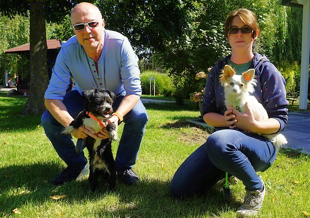 Andreas Stude mit Shih-Tzu-Mix-Rüde Milo und Angelique Plewa mit Chihuahua-Mädchen Mila: Für beide Vierbeiner wird dringend ein neues Zuhause gesucht.