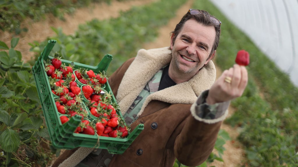 Große Finanzriesen aus Europa wollen bei "Karls" von Geschäftsführer Robert Dahl einsteigen.