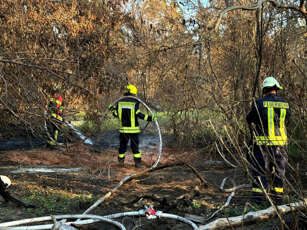 Am 20. August ist am ehemaligen Pflegeheim Wertlau erneut Feuer ausgebrochen.