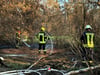 Am 20. August ist am ehemaligen Pflegeheim Wertlau erneut Feuer ausgebrochen.
