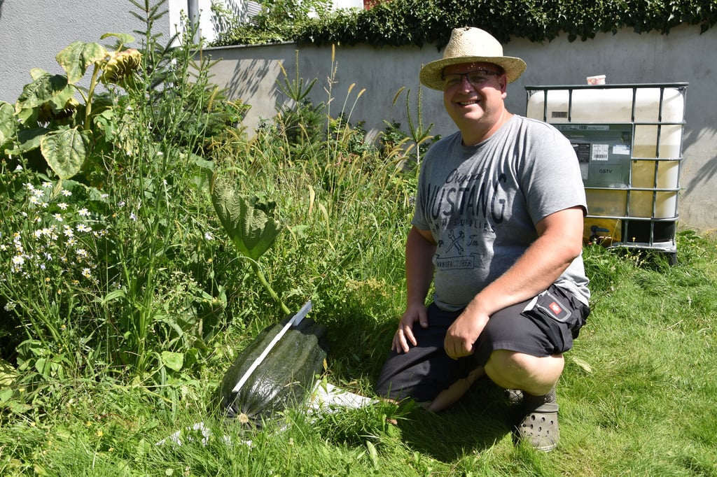 Seit mehreren Jahren nimmt der Annaburger Patrick Schubert an der Deutschen Riesengemüsemeisterschaft teil.