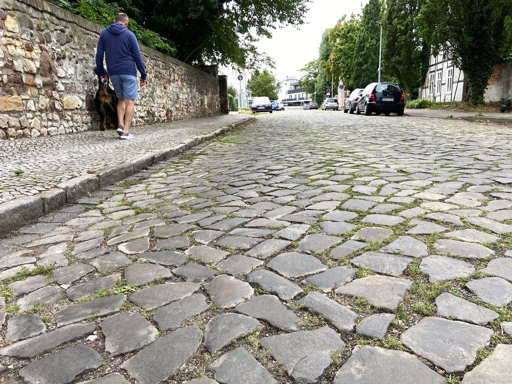 Die Burchardtstraße in Magdeburg-Cracau soll aufwendig und kostenintensiv erneuert werden.